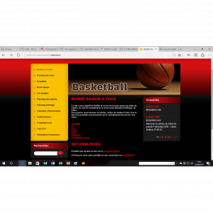 IRODOUER BASKET EN MAINS