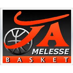 Melesse JA